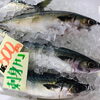「魚魚市場鮮魚コーナーおすすめは「天然カンパチ・ビンチョウマグロ」です♪」