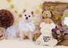 Happy birthday　プヨンちゃん「Anniversary photo　(^O^)／」