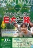とうもろこし畑の巨大迷路「7月23日～オラッチェ「とうもろこし畑の巨大迷路」」