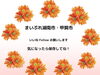 「本格的に暑くなってきましたね！」