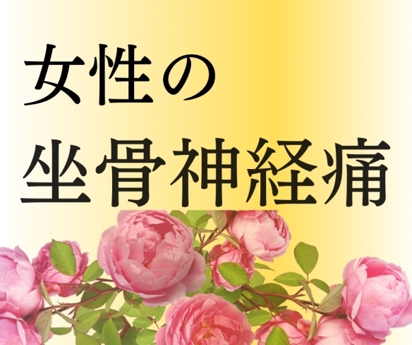 女性の坐骨神経痛「女性の坐骨神経痛」