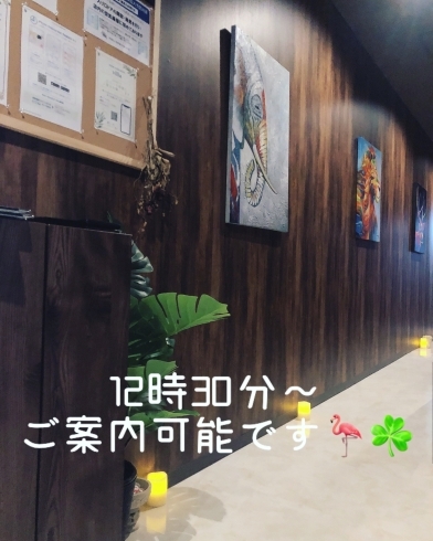 「おはようございます☘️」