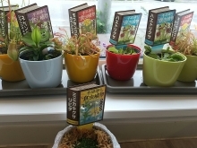 食虫植物入荷しました♪ハエトリグサやミミカキグサ【札幌市北区のお花屋さん花だより】