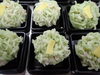 願い事「七夕　上生　練り切り　季節限定　ご予約」