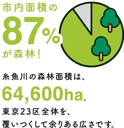 「糸魚川の森林資材で経済を動かす」