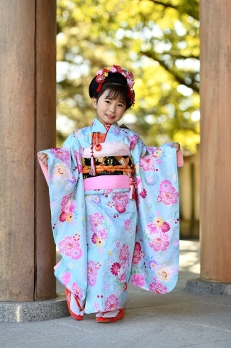 「七五三　　【千葉 稲毛 美浜 浅間神社近くの写真館★着物・和装撮影はプロにお任せ】」