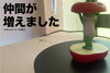 某アニメのようなカエル「仲間が増えました」