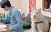 「少しでも高く売りたい！買取りできます！」