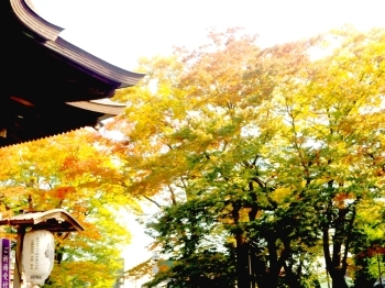 秋の境内「金峯神社」