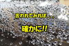 「『雨で流れた』言われてみれば、、確かに!!」