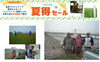 農家さんの木下誠治さん「【ネット限定】2022年 畳替え夏得セール始めます！【宮崎市/たたみ/イマムラ】」