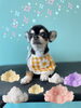 「可愛い子ちゃん♡ Dog salon mofu mofu 余市町」