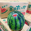 「石川県産「金沢すいか」が入荷しましたよー！！！！」