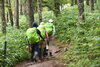 「秋の深まりを見せる入笠山」