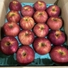 「「さんさ」に続いて「サンつがる」も入荷しました～🍎」