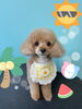 「可愛い子ちゃん♡ Dog salon mofu mofu 余市町」