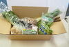 野菜セット　お届けはこんな感じです「ネット通販「からだ想いの旬まるごと野菜BOX」今週9月21週の10品目が決まりました」