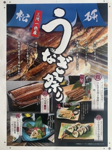 うなぎ料理「うなぎ祭り！松研では国産最上品、愛知三河一色産のうなぎをご用意しています」