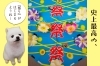 ↑鳥居の大好きな、ポメちゃん。「『サブちゃん』も仰天なやつ。【まいぷれ・西京区・南区・編集部】」