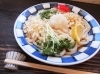 季節限定 おろしぶっかけ　750円「夏季限定メニューを紹介♪「鍋焼きうどん mammam（まんま）」　」