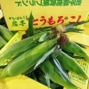 「「きみ(とうもろこし)」の出荷が始まったよー」