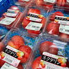 「信州産フルーツ入荷！ 週末テナント情報！」