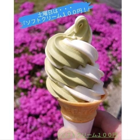 土曜日はソフトクリーム１００円の日！「《ソフトクリーム１００円》土曜日限定半額！」