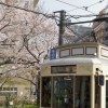 第125回　春の都電さくら号 ～都電荒川線 新宿区西早稲田他～