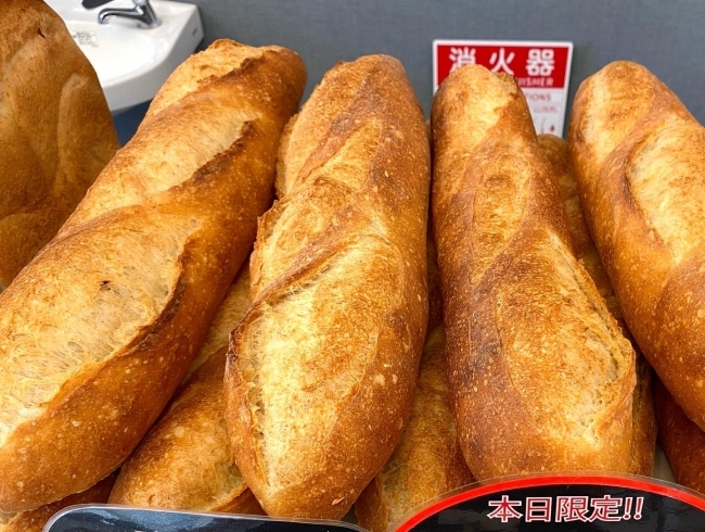 北海道産小麦を数種類ブレンドしたフランスパン「久々の更新！お許しください…。」