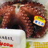 「魚魚市場鮮魚コーナーおすすめは「地タコです♪」