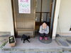 お母さんのクロちゃんです「松の実では猫の親子に会えます。」