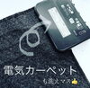 「電気カーペットも洗えます！」