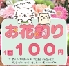 7 23 お花釣りやるよー 晩めし市 恵庭 イベント 花屋 花一 フラワーショップ フラワーショップ花一のニュース まいぷれ 千歳 恵庭