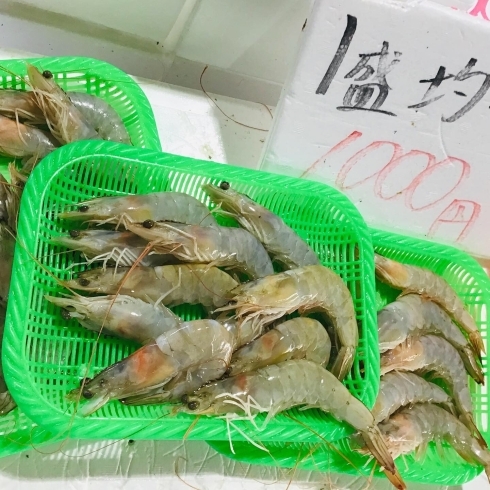 「魚魚市場鮮魚コーナーおすすめは「バナメイエビ・赤ムツ」です♪」