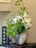 「7月25日(月)定休日です」
