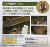 蜂駆除もダスキンにお任せ「ダスキンで蜂の巣の駆除！？」
