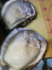 岩がき「特大岩がき」