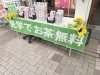 「お茶を飲みながら無料見学しよう！」