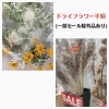 ドライフラワー半額「【はなやホック皆生店】半額セール開始しました！」