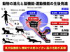 進化と運動機能の発達「【脳卒中/脳性小児麻痺】基底核についてのディスカッション【リハビリ】」