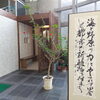 「今月の書「漂流者の歌」」