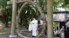 「【夏まつり】茅の輪くぐりと人形神事」