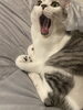 ふ「奇跡的に撮れたるい君の=^._.^= ∫」