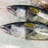 「魚魚市場鮮魚コーナーおすすめは「ハガツオ・ホーボー」です♪」
