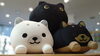 ワンニャンMOGU「カワイイMOGUとゴロゴロはどうでしょうか♪♪」