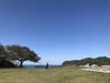「今日から8月」