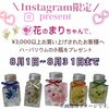 「Instagram限定　プレゼント企画」