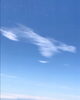 コロナを忘れそうな空「3周年なんです」