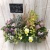 季節の寄せ植え「♬　寄せ植え　♬」
