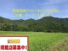 「この夏、「まいぷれ三田」が独立！オープンしました。」